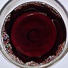 Good Earth Wine Basso