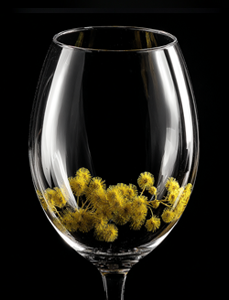 acacia wine glass