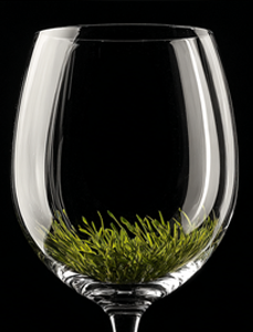 freshly cut grass wine glass