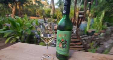 Grover Art Collection Sauvignon Blanc