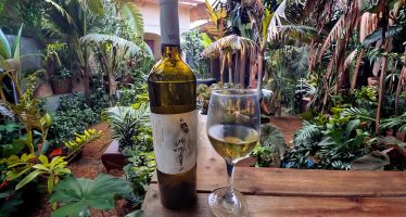 Grover VA White Wine