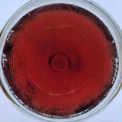 Ambi Apsara New Classic