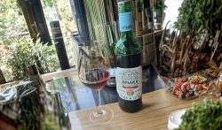 Ambi Apsara New Premium