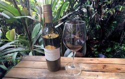 Big Banyan Cabernet Sauvignon