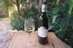 Big Banyan Sauvignon Blanc