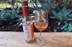 Cerana Pinot Noir Pyment