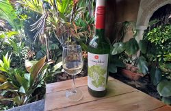Deccan Plateau Sauvignon Blanc
