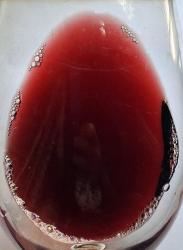 Good Earth Wine Bleu