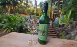 Grover Art Collection Sauvignon Blanc