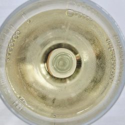 Grover VA White Wine