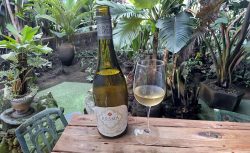 KRSMA Sauvignon Blanc