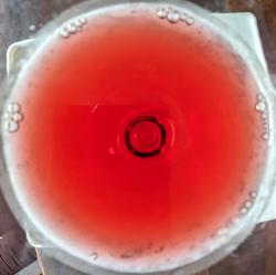 Fratelli Classic Shiraz