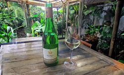 Soma Chardonnay Reserve
