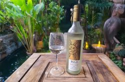 Sula Muscat Blanc