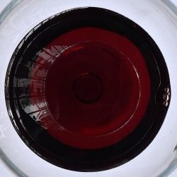 The Source Grenache