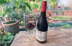 York Cabernet Merlot